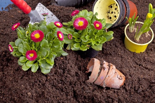 Customer reporting a landscaping issue for review