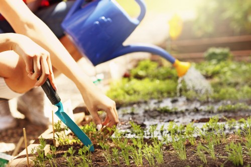 Accessibility statement introduction for Landscaping Sutton