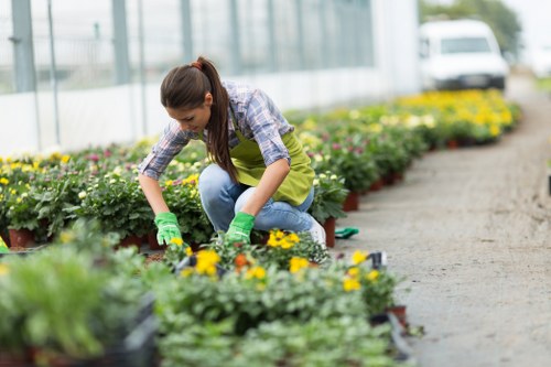 Landscaping Sutton outdoor design and garden transformation