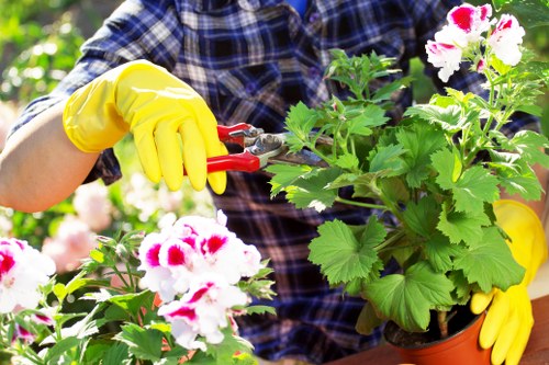 Soft landscaping work in Sutton with fresh planting and turf preparation