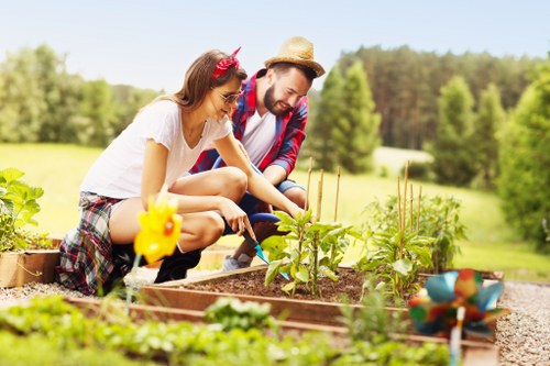 Professional landscaping in Sutton with planting and pathways