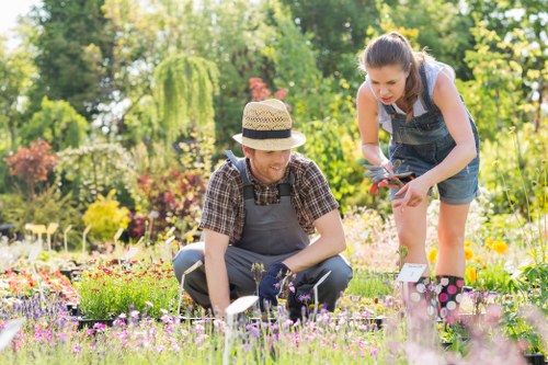 Team reviewing ethical labour standards for Landscaping Sutton