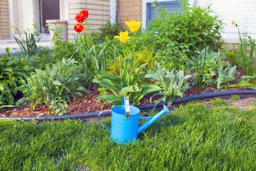 Professional turf laying preparation in a Sutton garden