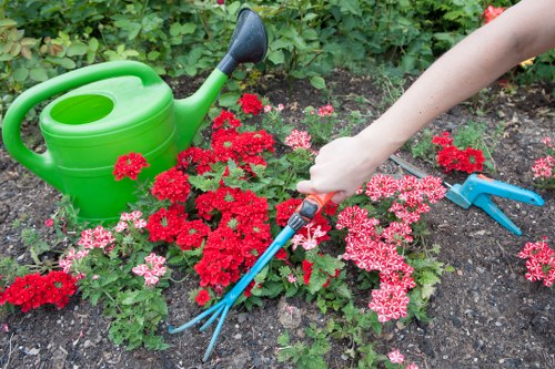 Landscape design and planting in a Sutton residential garden