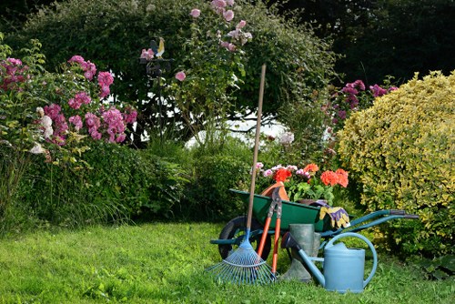 Landscaping team assessing a garden site before work begins