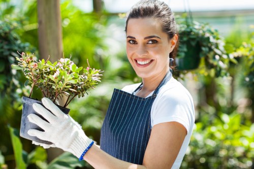 Garden soft landscaping in Sutton showing turf, borders, and seasonal planting