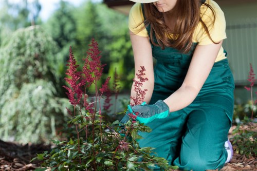 Free quote policy for landscaping services in Sutton