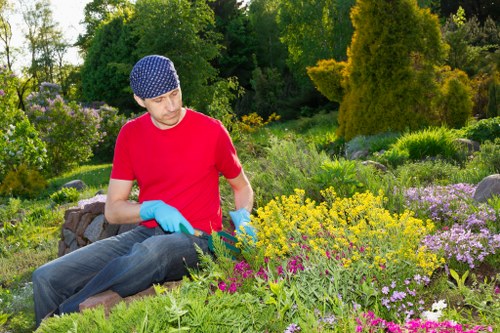 Planting and lawn renovation for a residential garden in Sutton