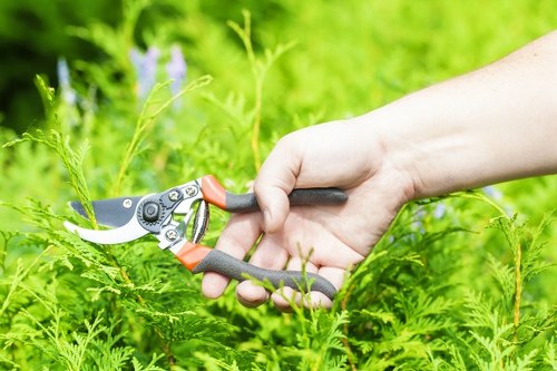 Crew using personal protective equipment during landscaping tasks